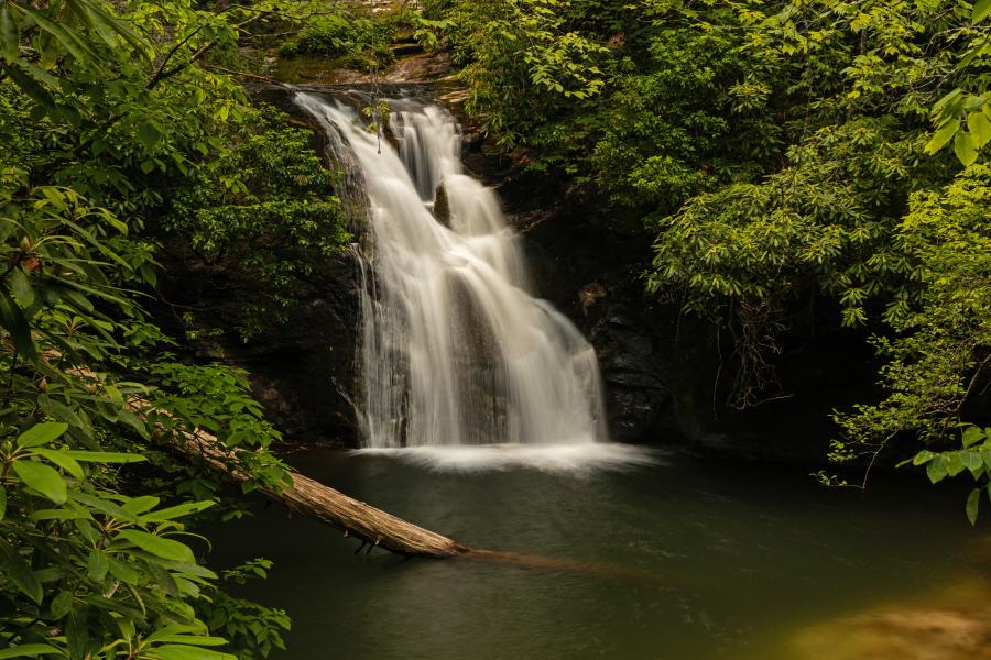 waterfall feeding into a mountain spring