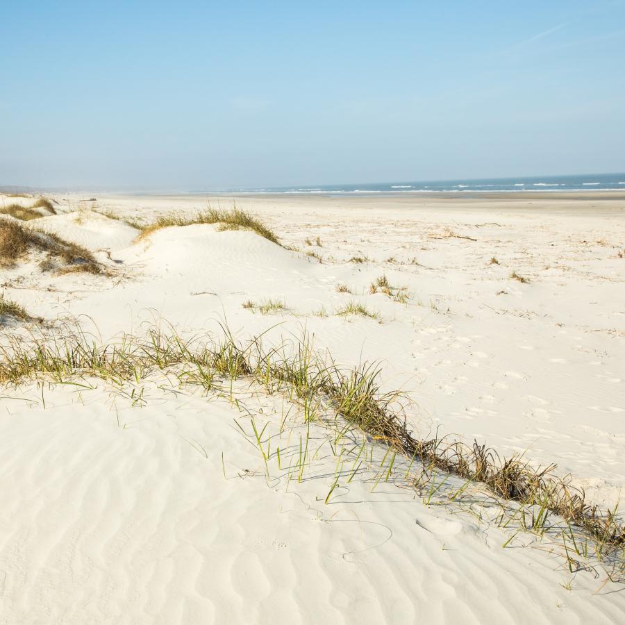 georgia beach