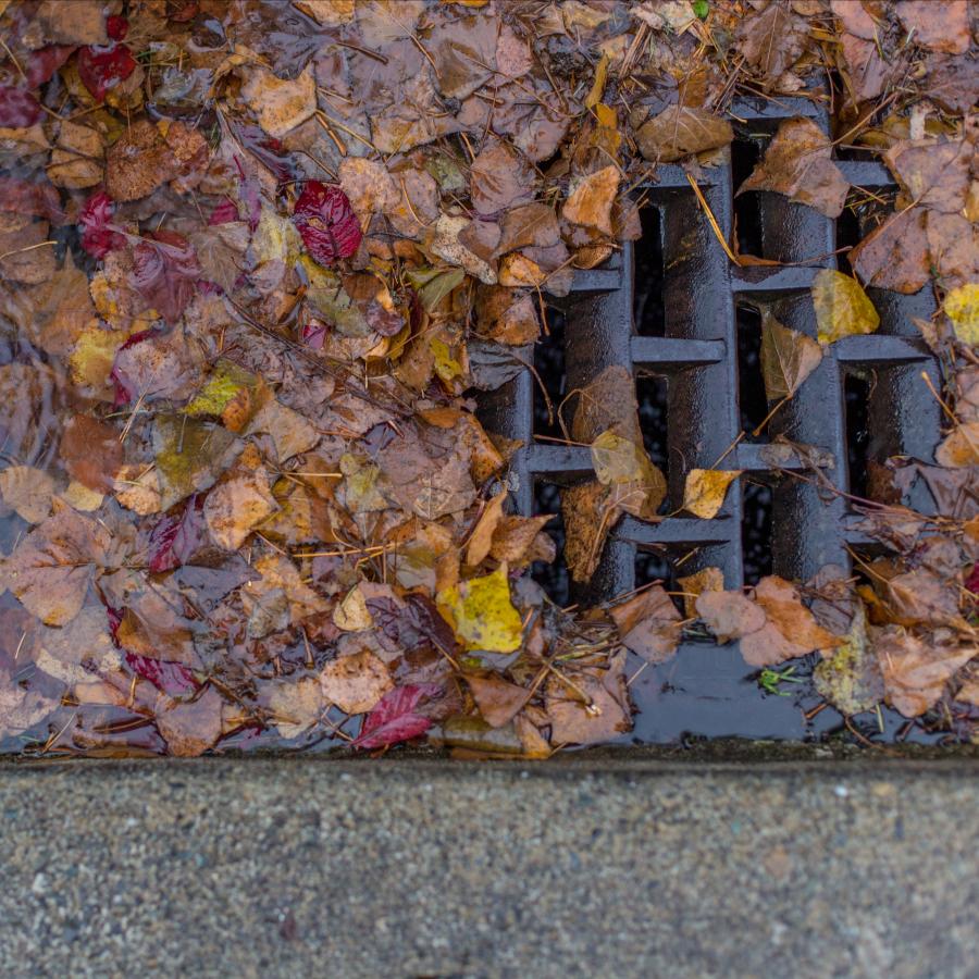 storm drain